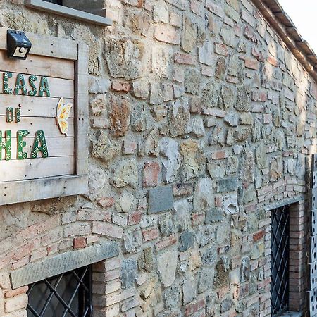 La Casa Di Thea - Flo Apartments Impruneta Eksteriør bilde